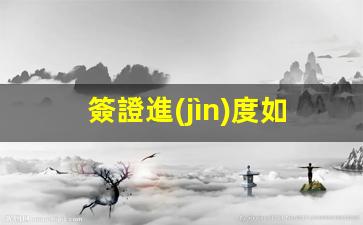 簽證進(jìn)度如何查詢(xún)(查看簽證辦理進(jìn)度查詢(xún))