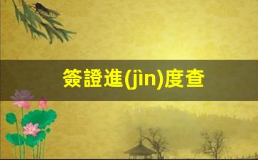 簽證進(jìn)度查詢(xún)網(wǎng)站(簽證進(jìn)度查詢(xún)網(wǎng)站)