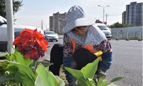 米东区一周天气_米东区一个月天气