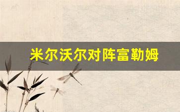 米尔沃尔对阵富勒姆-英冠米尔沃尔vs富勒姆