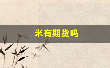 米有期货吗(有大米相关的期货吗)_https://www.gfdzclz.com_深交所_第1张
