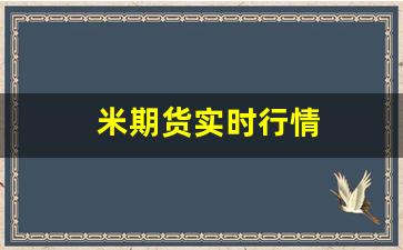 米期货实时行情(国际大米期货走势)_https://www.hbxfywj.com_证券知识_第1张