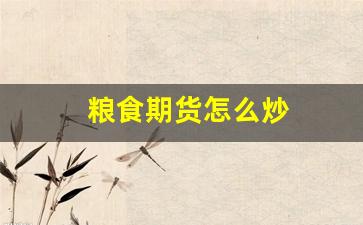 粮食期货怎么炒(粮食类期货在哪里交易)_https://www.fzdzcxj.com_上交所_第1张