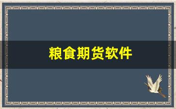 粮食期货软件(粮食期货行情)_https://www.xzdzcjn.com_科创板_第1张