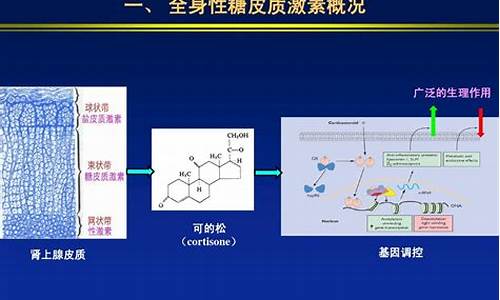 糖皮质激素常见不良反应有哪些_糖皮质激素