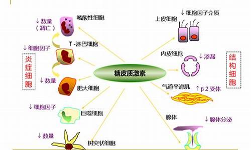 糖皮质激素不良反应的防治措施_糖皮质激素