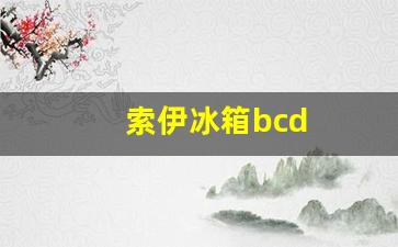 索伊冰箱bcd-索伊冰箱bcd一498de