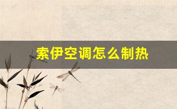 索伊空调怎么制热-索伊空调制热不出热风