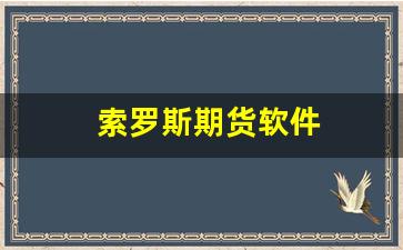 索罗斯期货软件_https://www.xzdzcjx.com_创业板_第1张