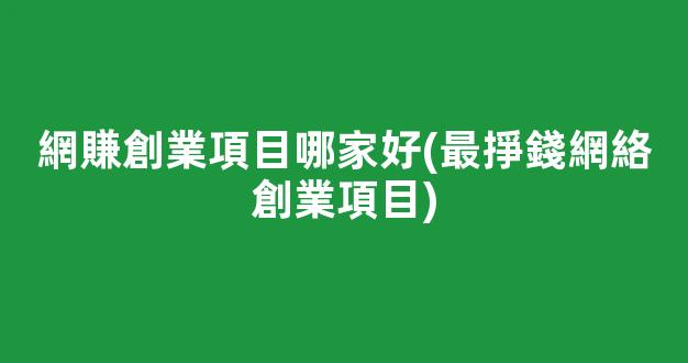 網賺創業項目哪家好(最掙錢網絡創業項目) - 嚴選資源大全