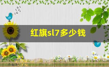 红旗sl7多少钱(红旗s4多少钱)_https://www.wguangz.com_郑商所_第1张