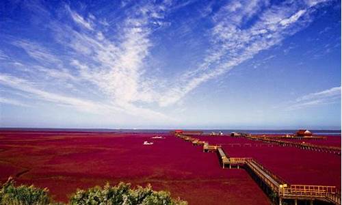 红海滩风景区_