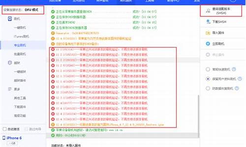 红雪备份shsh_红雪剧情