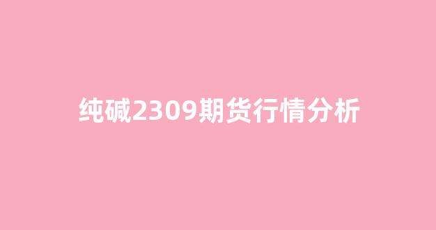 纯碱2309期货行情分析(纯碱2309期货行情分析预测)_https://www.rzcpcj.com_直通车_第1张