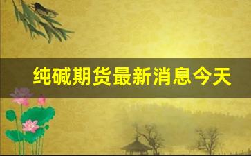 纯碱期货最新消息今天行情走势图(纯碱期货价格最新消息)_https://www.hbxfywj.com_基金知识_第1张