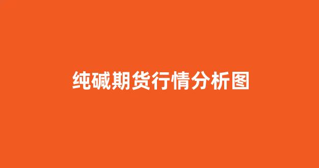 纯碱期货行情分析图(纯碱期货行情分析最新建议)_https://www.senxinmaoyi.com_物流查询_第1张
