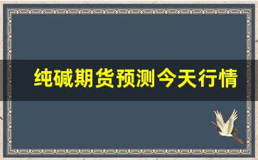 纯碱期货预测今天行情分析(纯碱期货最新实时行情)_https://www.jianghaiboli.com_期货_第1张