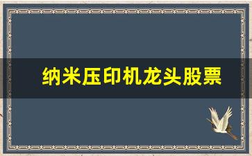 纳米压印机龙头股票(纳米压印技术主要有)_https://www.jnskb.com_装修公司_第1张