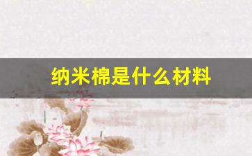 纳米棉是什么材料(纳米棉是什么材料做成的)_https://www.eamstsz.com_深交所_第1张