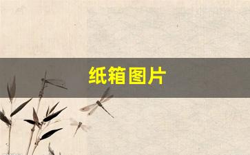 纸箱图片(纸箱图片大全大图)_https://www.hangfeite.com_深交所_第1张