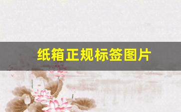 纸箱正规标签图片(纸箱正规标签图片高清)_https://www.luoxuangg888.com_北交所_第1张