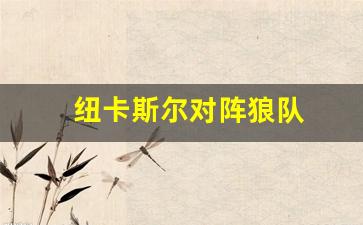 纽卡斯尔对阵狼队-纽卡斯尔联对狼队
