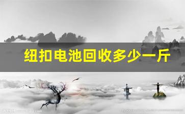 纽扣电池回收多少一斤(纽扣电池回收)_https://www.heiljjianzu.com_科创板_第1张