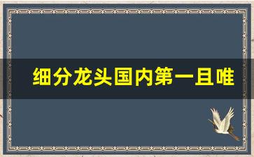 细分龙头国内第一且唯一(中国细分龙头股)_https://www.lclxwz.com_广期所_第1张