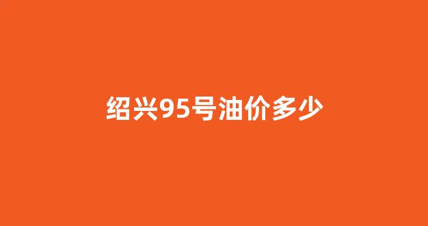 绍兴95号油价多少钱一吨_绍兴95号油价多少