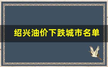 绍兴最新油价-绍兴油价下跌城市名单