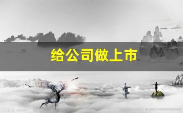 给公司做上市
