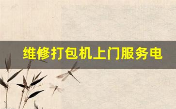 维修打包机上门服务电话(打包机不进带维修视频)_https://www.eamstsz.com_创业板_第1张