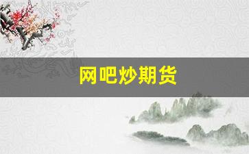 网吧炒期货(网上炒期货的交易所可靠吗)_https://www.fzdzcxj.com_北交所_第1张