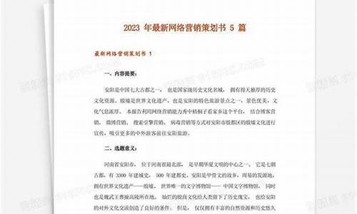 网络策划书_网络策划书怎么写