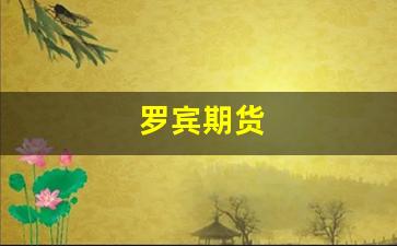 罗宾期货(罗宾森交易所)_https://www.fzdzcxj.com_深交所_第1张