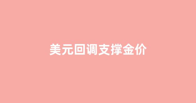 美元回调支撑金价_美金回升