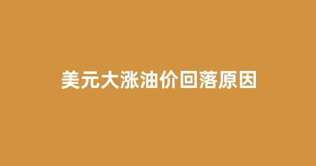 美元升值油价下跌_美元大涨油价回落原因