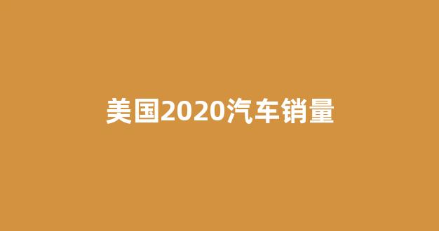 美国2020汽车销量(美国2020年汽车销量)_https://www.dcjwmf.com_郑商所_第1张