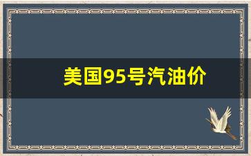 美国95号汽油价-美国95号汽油价格多少钱一升