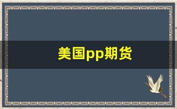 美国pp期货(pp期货实时交易)_https://www.xzdzcjn.com_科创板_第1张