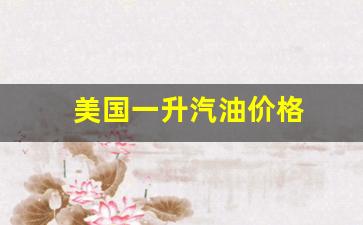 美国一升汽油价格-美国最新汽油多少钱一升