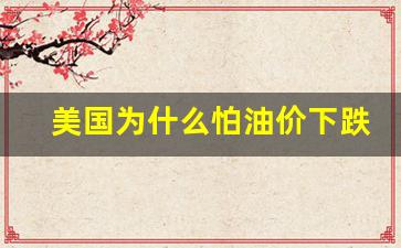 美国为什么打压油价-美国为什么怕油价下跌