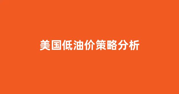 美国低油价策略分析论文_美国低油价策略分析