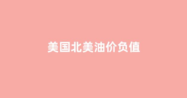 美原油负油价_美国北美油价负值