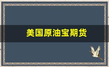 美国原油宝期货(wti美国原油期货)_https://www.xzdzcjn.com_上交所_第1张