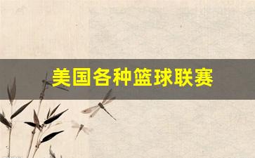 美国各种篮球联赛-美国篮球队比赛