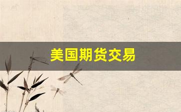 美国期货交易(美国期货交易时间段)_https://www.fzdzcxj.com_深交所_第1张