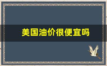 美国油价合多少人民币-美国油价很便宜吗