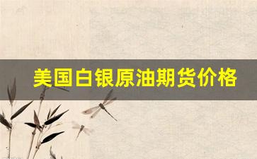 美国白银原油期货价格行情(伦敦白银期货今日价格行情)_https://www.erdeww.com_期货_第1张