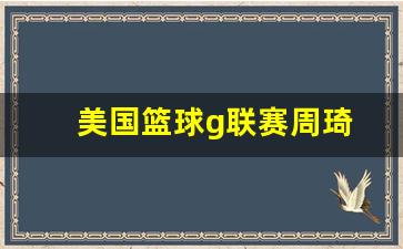 周琦美国比赛视频-美国篮球g联赛周琦